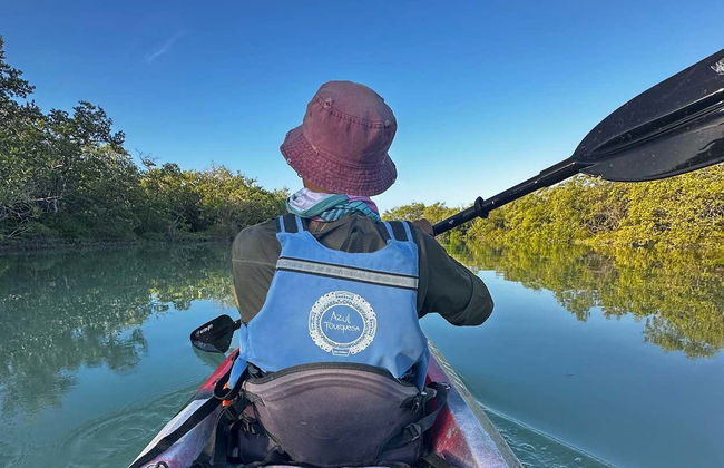 Holbox Kayak Tour - Photo 5