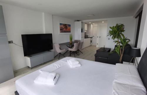 JSH Studio Benidorm Primera Linea - Foto 17