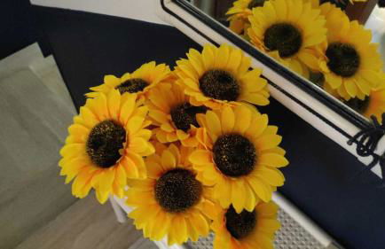 IL GIRASOLE, distante solo 200 mt. REALI dal mare - Foto 19