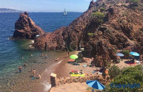 Serenity Apprt 1 - Photo 22