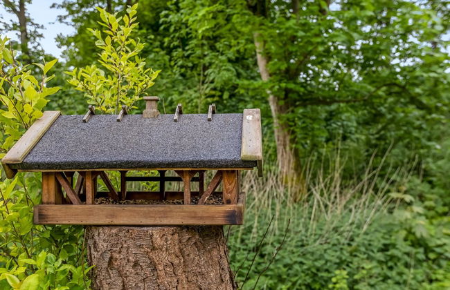 3 bedroom House in Toftlund with terrace - Photo 13