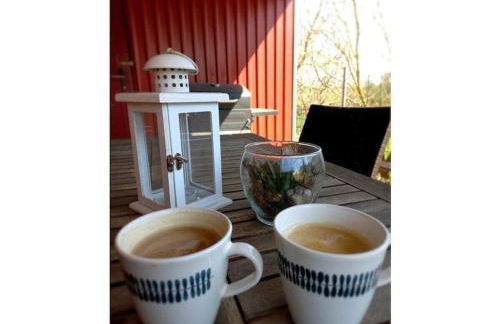 Holiday home in Kargow with swimming pool - Foto 20