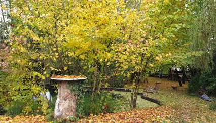 Forest Art Villa Zagreb - Foto 5