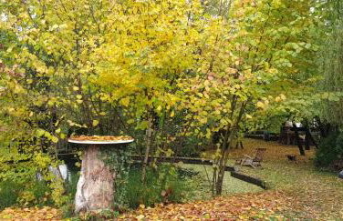 Forest Art Villa Zagreb - Foto 5