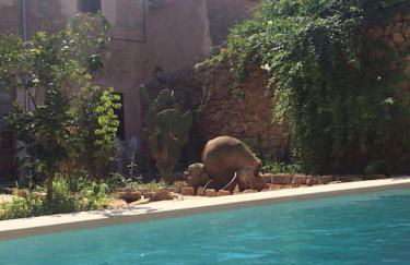 Typical old Majorcan house with a private pool - Foto 5
