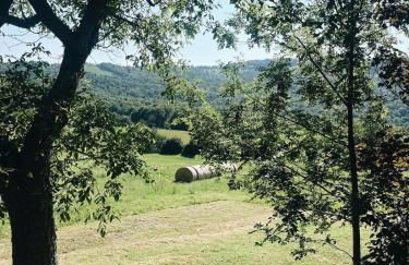 Il fienile di Cornazzano - Photo 24