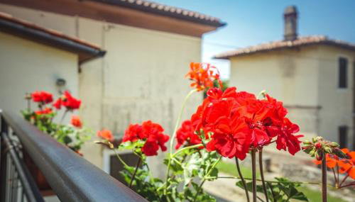 Apartment Sandra - Photo 4