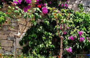 TRULLI GIACI&MAURI - Foto 60