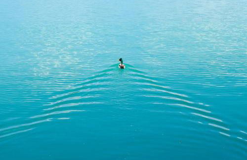 Casa Rural RosaVera - Foto 58