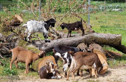 Doppelhaushälfte Ostwind vom Naturhof Usedom - Foto 30