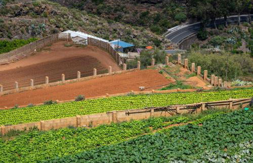 Casa Petra - Foto 26