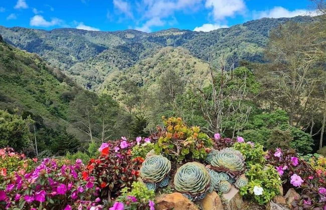 Macho Mora Mountain Lodge - Foto 32