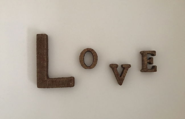 Yellow Barqueta Studio - Foto 14