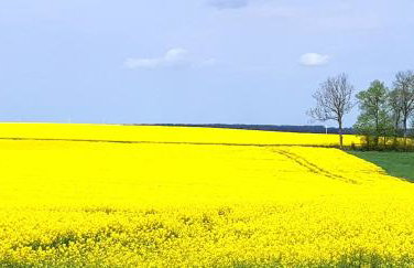 Dom na Warmii -Siedlisko Jabłonka - Foto 78