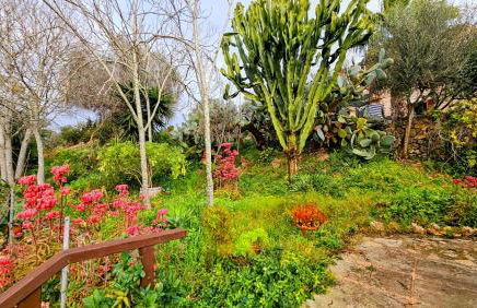 Ses Cases d'Alcudiola - Foto 59