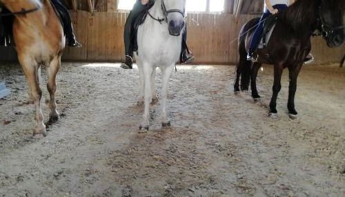 Ponyhof Adam Urlaub auf dem Bauernhof - Photo 4