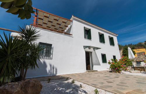 Dekem Residence - Foto 11