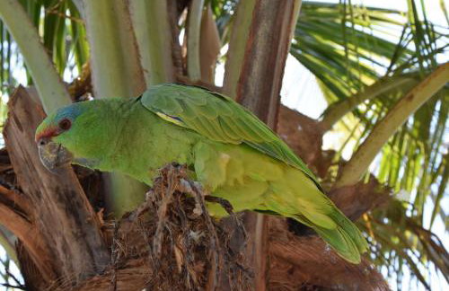 MelBliss Gostoso - Foto 79