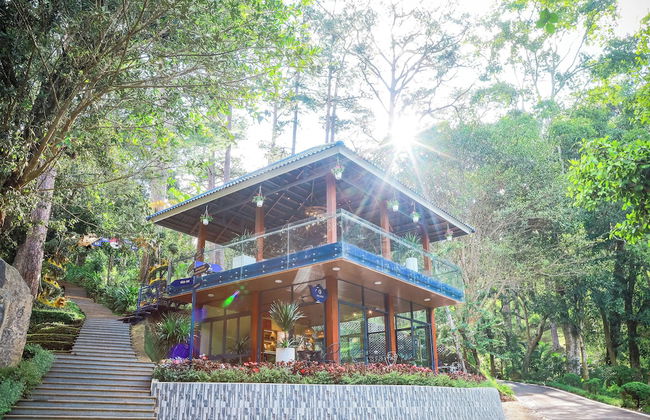 Tea Resort Prenn - Foto 38