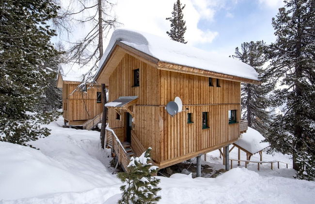 Premium Chalet With Infrared Sauna - Foto 24