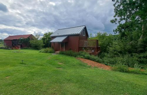 Running Fox Farm - Foto 1