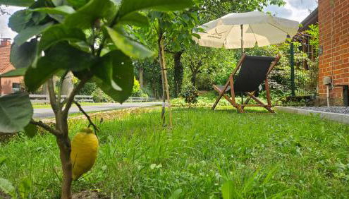 Ferienwohnungen Walsrode - Foto 2, Garden, Garden view