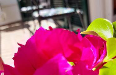 Apartment Pinia with free parking - Photo 4