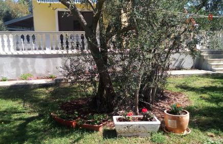 Apartments Nina - Photo 61