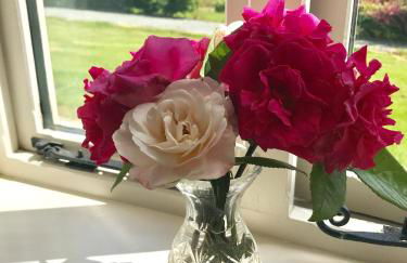 Gaer Fawr Barns - Photo 6