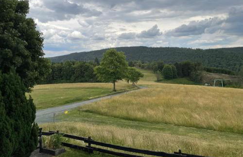 Apartment Haus Aktiv Panorama - Foto 29