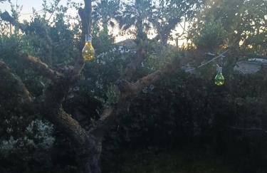 Olive holiday home - Photo 42