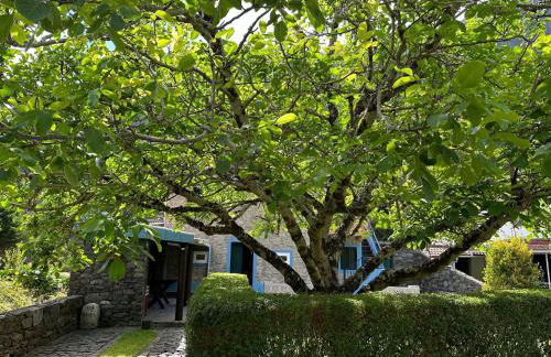 Casa da Nogueira - Foto 9