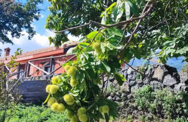 Feudo Magazzeni Etna - Foto 12