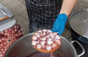 APARTAMENTO VISTAZUL SAMIL - Foto 72