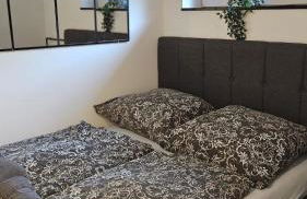 Geschäfts- und Monteurs Apartment 2 SZ - Foto 11