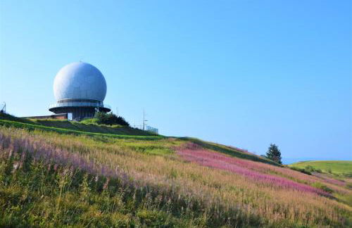 Gästehaus Jäger Ferienwohnungen - Foto 28