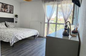 Cosy Studio Monplaisir Lumière Metro Lyon 8 - Photo 4