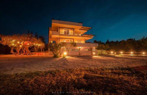 Orange Tree - Foto 44