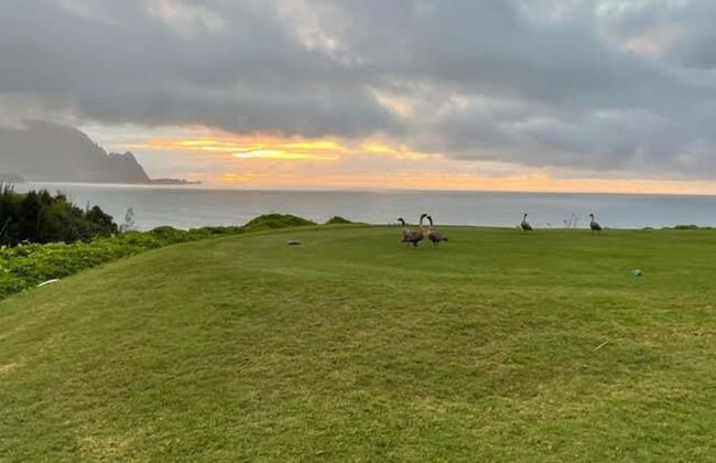 Emmalani Court 411 - Photo 21