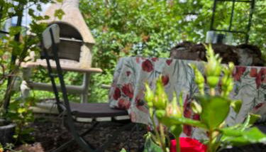 Ferienwohnung Waldrand bei Geyer -Saal an der Donau- - Foto 3