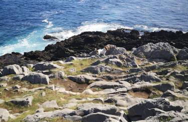 Casa de Olga & Jorge - Foto 11