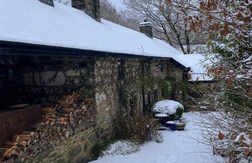 Pont Wrysgen Cottage 'the gateway to Snowdonia' - Photo 1