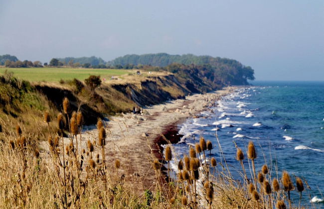 Aparthotel Museumshof auf Fehmarn - Foto 14