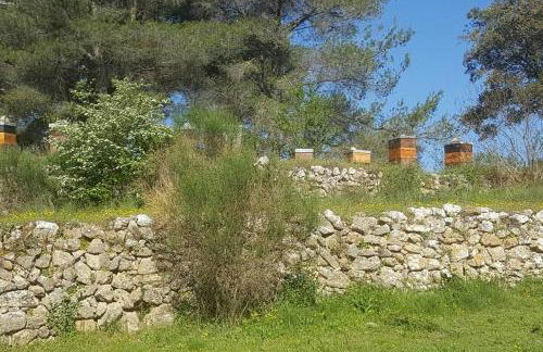 Charmant Appartement Neuf Le Taoume - Foto 32