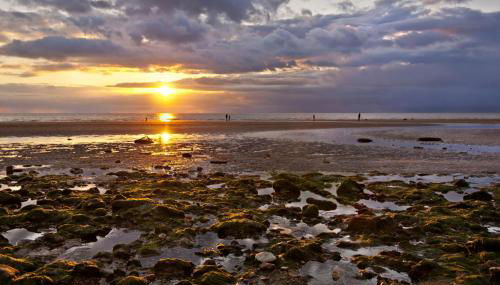 The BeeHive - Foto 5