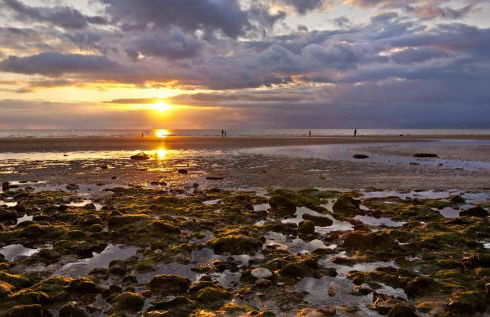 The BeeHive - Foto 5