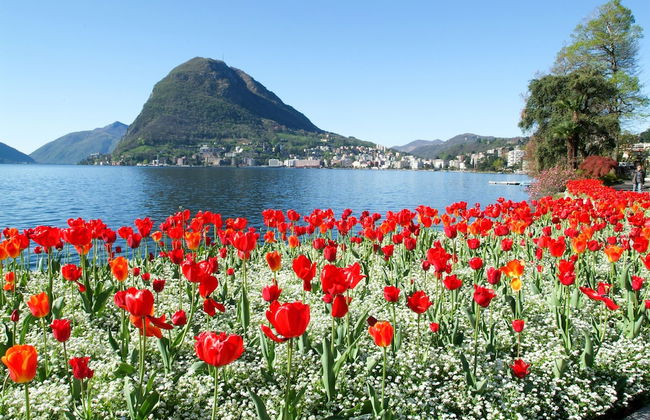 Little Lugano - Foto 18