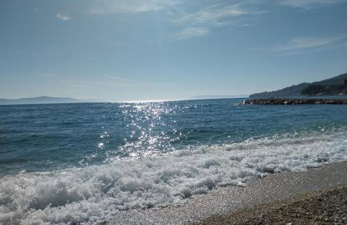 Sobe Kraft 1 - Photo 22