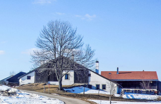 Les Grangettes - Foto 2