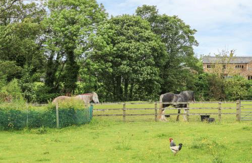 Barn Owl Cottage At Crook Hall Farm - Foto 24